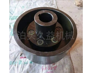 TLL帶制動(dòng)輪彈性套柱銷(xiāo)聯(lián)軸器